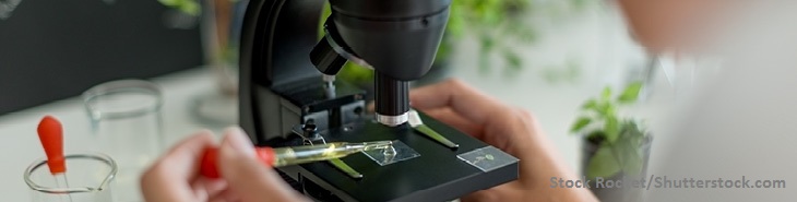 shutterstock_Scientist doing research on plants_752436265_panorama_730x185